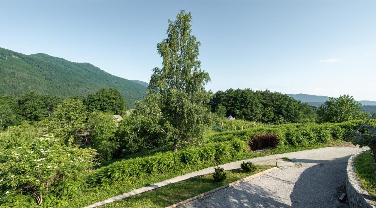 Zidan'Ca Rosel Apartment Dolenjske Toplice Luaran gambar