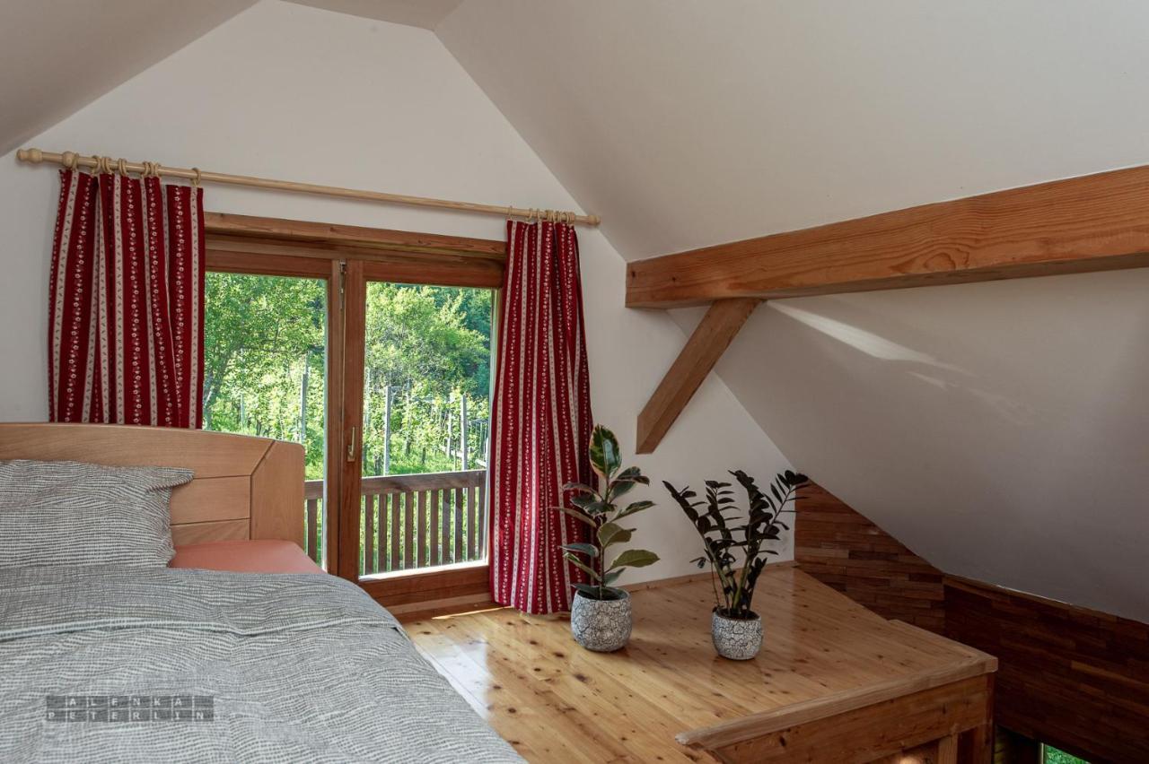 Zidan'Ca Rosel Apartment Dolenjske Toplice Luaran gambar